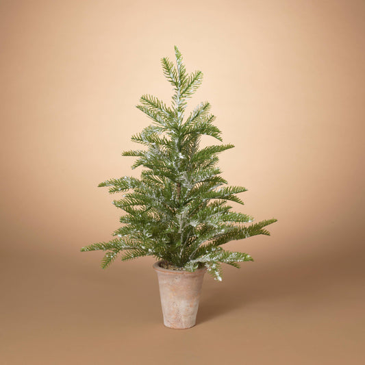 28"H Pine Tree in Argil Pot