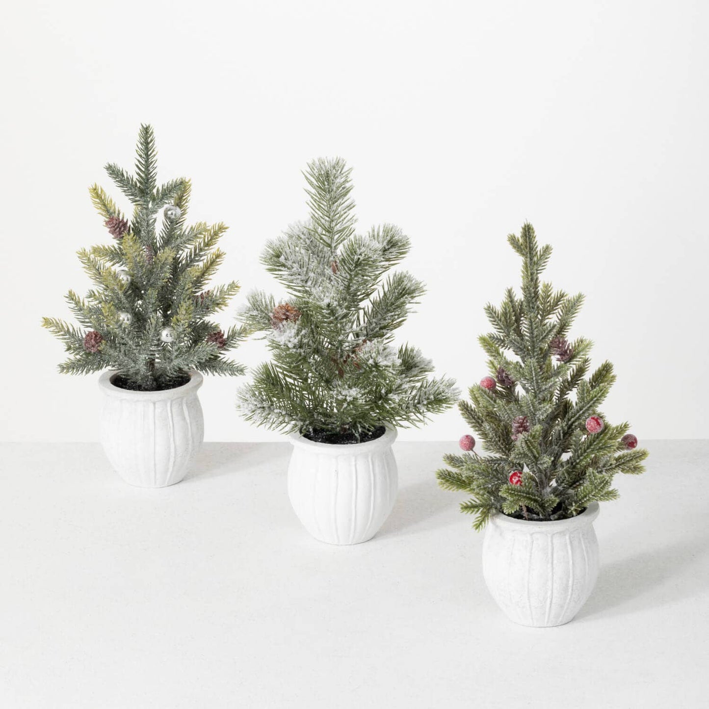 POTTED PINE TREE Set/3