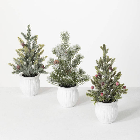 POTTED PINE TREE Set/3