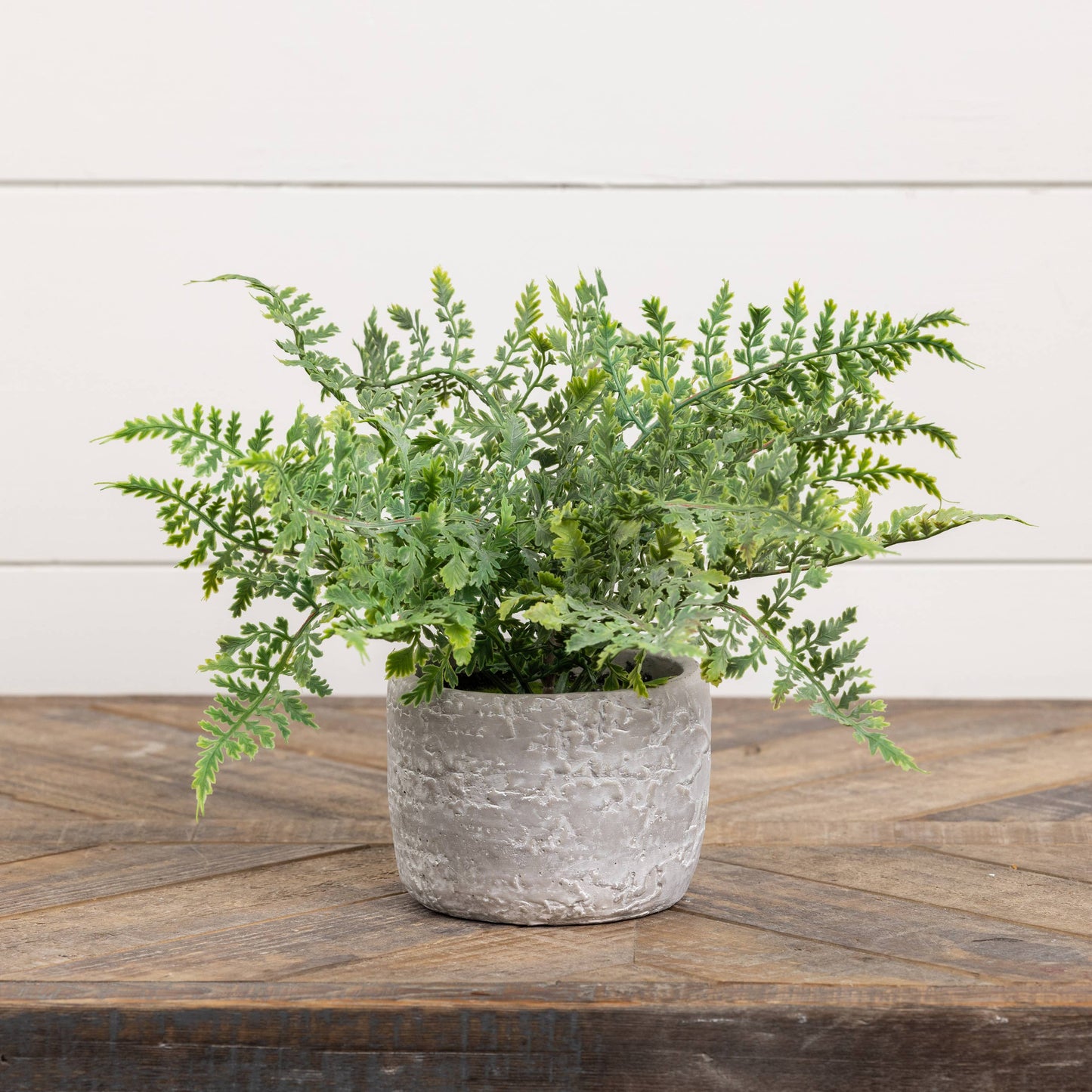 12.75" MINI FERN IN STONE POT