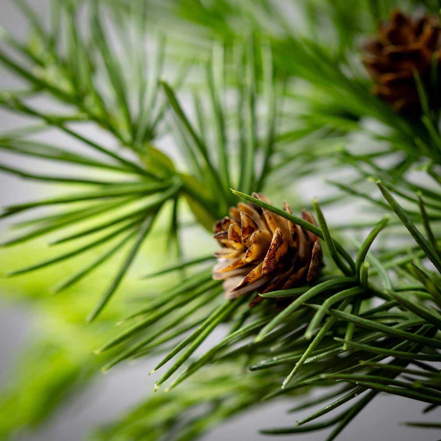 LUSH GREEN CEDAR WREATH