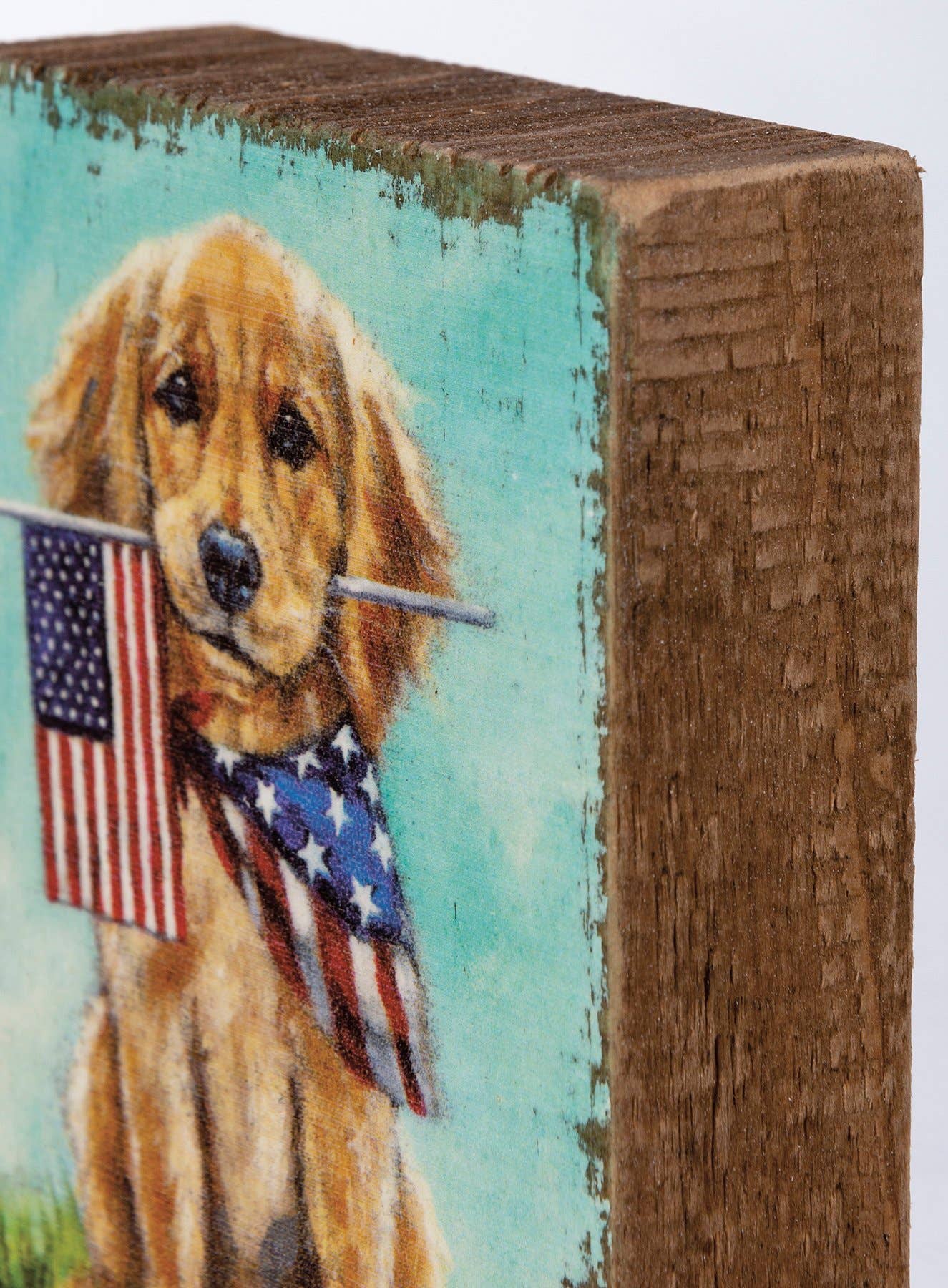 Puppy Flags Block Sign