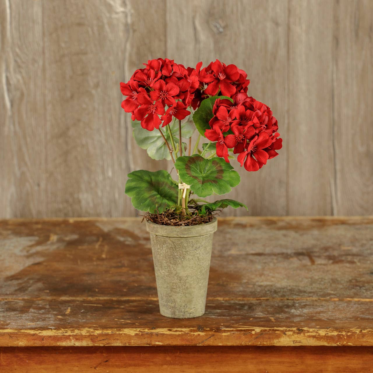 14" RED POTTED GERANIUM