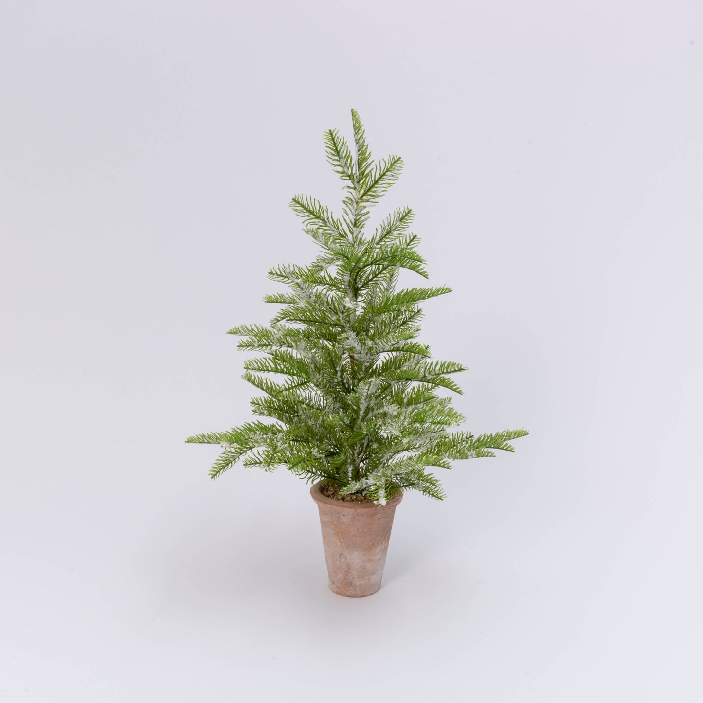 28"H Pine Tree in Argil Pot