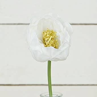 ISB75512- 14in Foamy Peony Stem-White