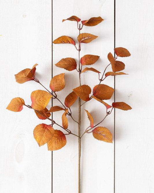 Pick - Cinnamon And Burgundy Fall Leaves (PK/4)