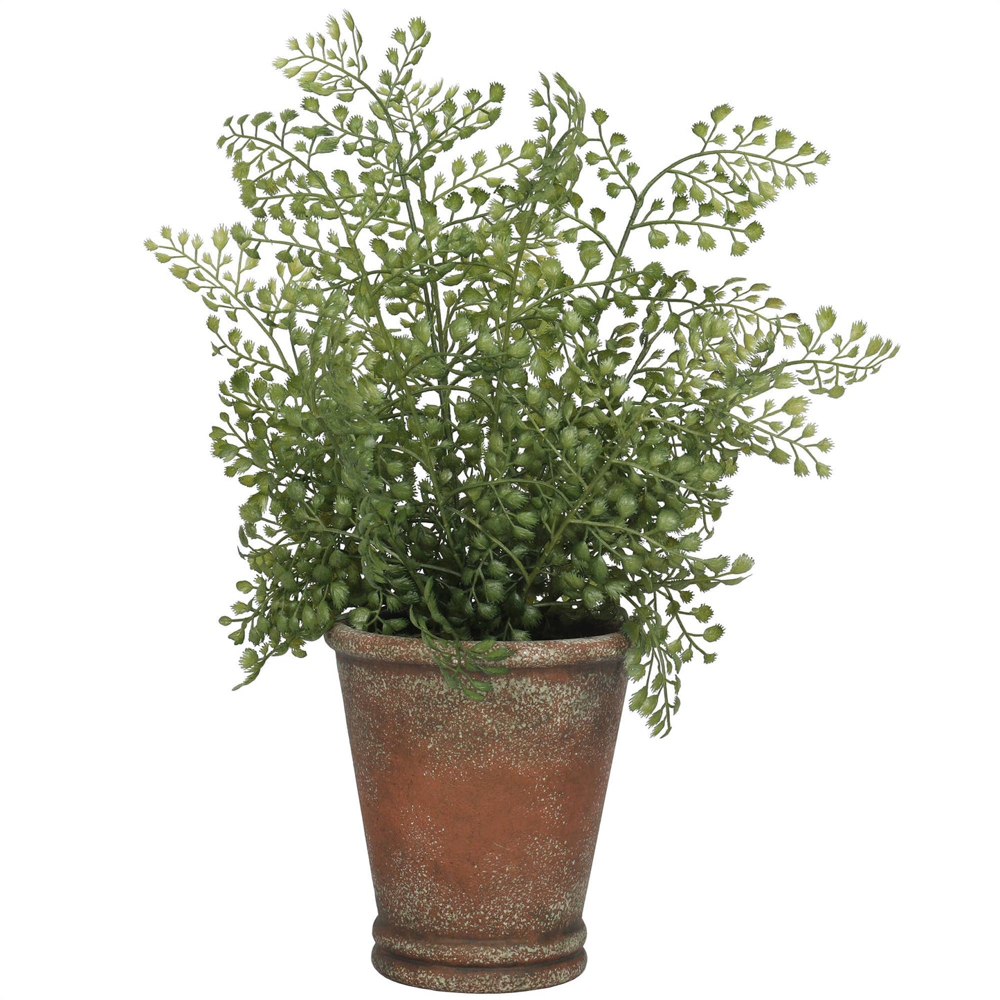 Maidenhair Fern Plant - Artificial - 16 Inch