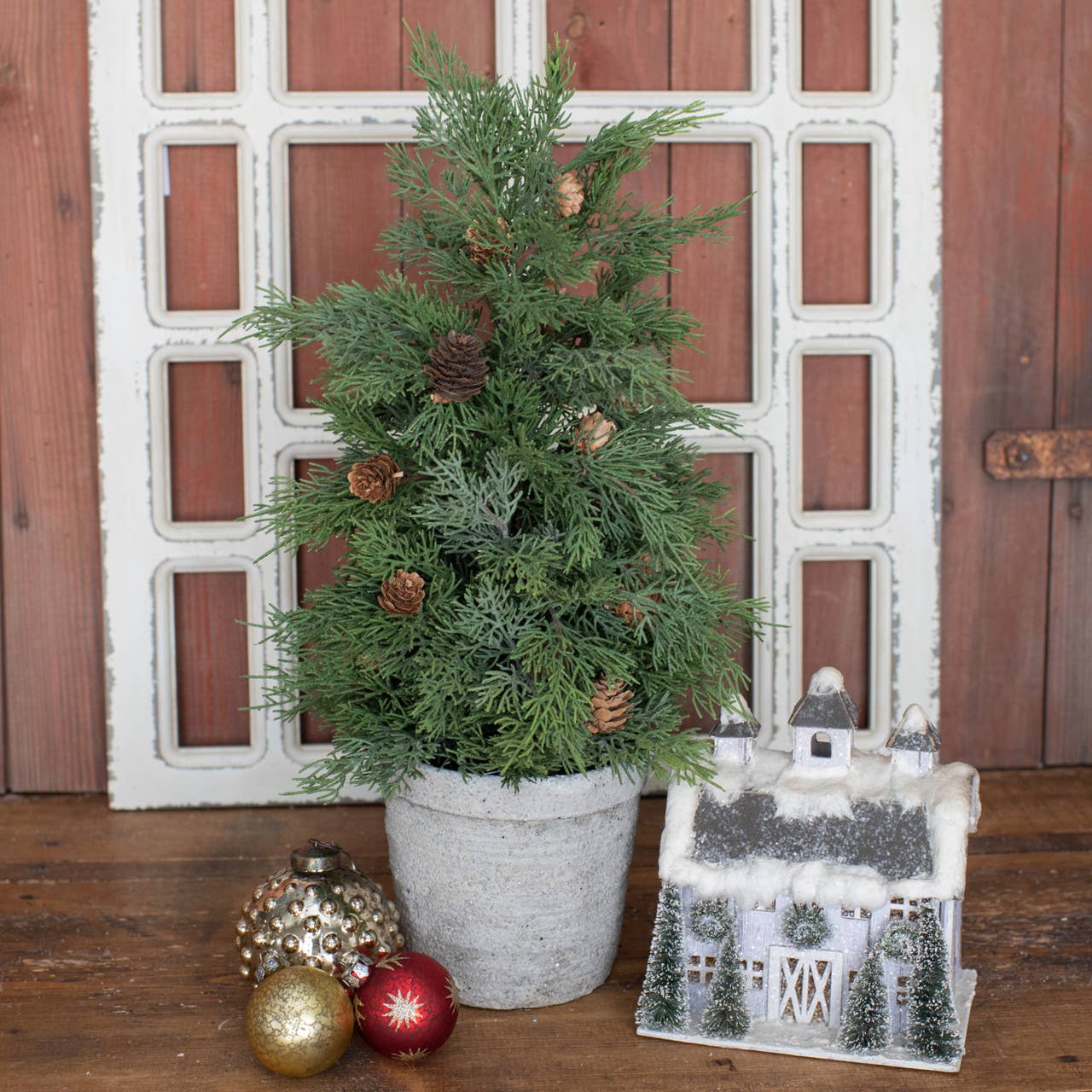 18" POTTED DOUGLASS FIR TREE