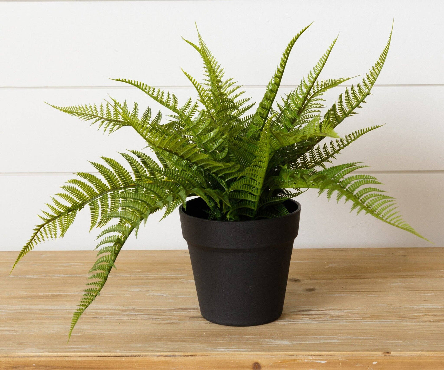 Potted Faux Fern