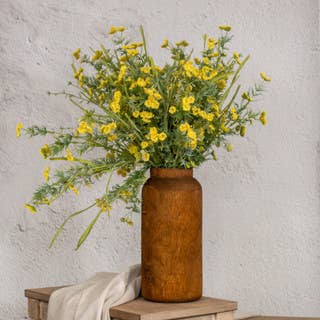 21" YELLOW YARROW BUSH